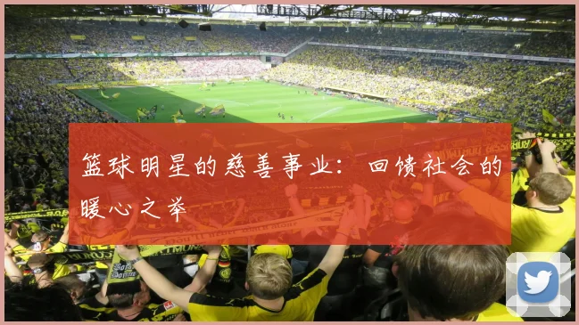 篮球明星的慈善事业:回馈社会的暖心之举