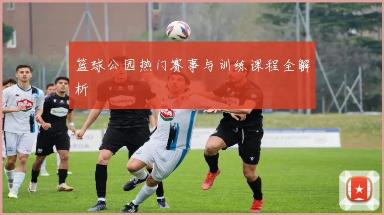 篮球公园热门赛事与训练课程全解析